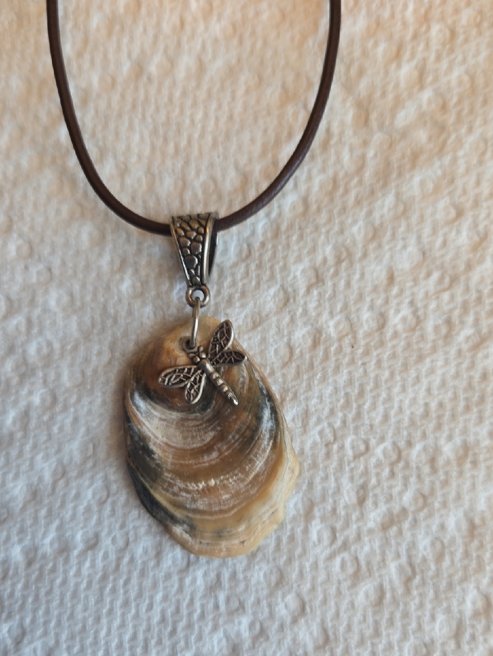 Brown Leather Choker w/Shell Pendant And Dragonfly Accent